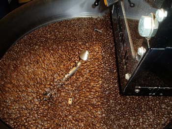 Coffee Processing Methods – What You Should Know